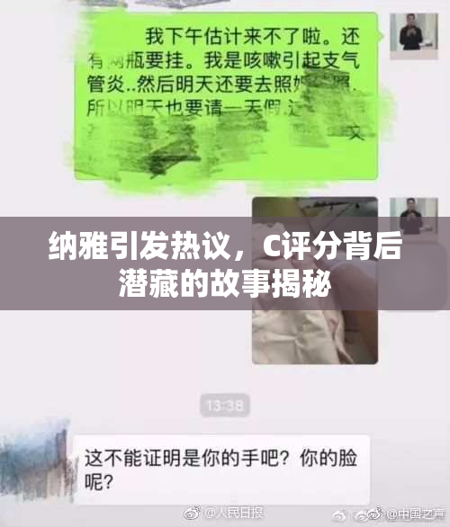 纳雅引发热议，C评分背后潜藏的故事揭秘