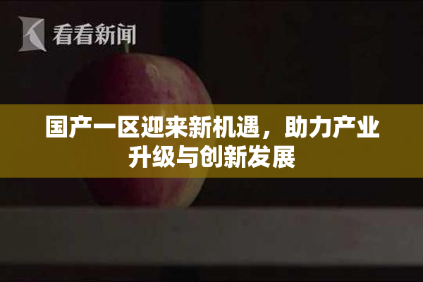 国产一区迎来新机遇，助力产业升级与创新发展