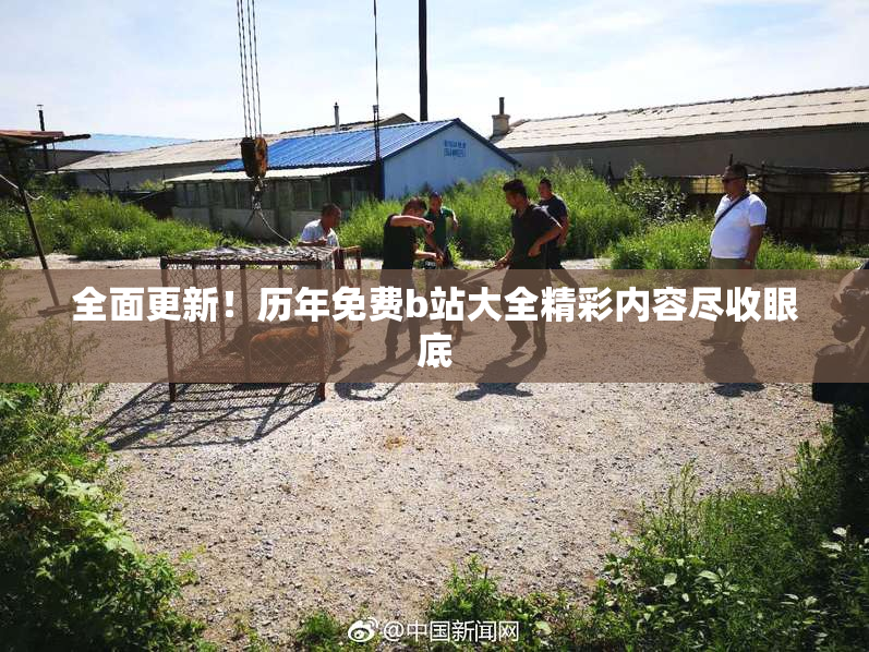 全面更新！历年免费b站大全精彩内容尽收眼底
