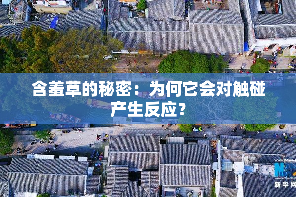 含羞草的秘密：为何它会对触碰产生反应？