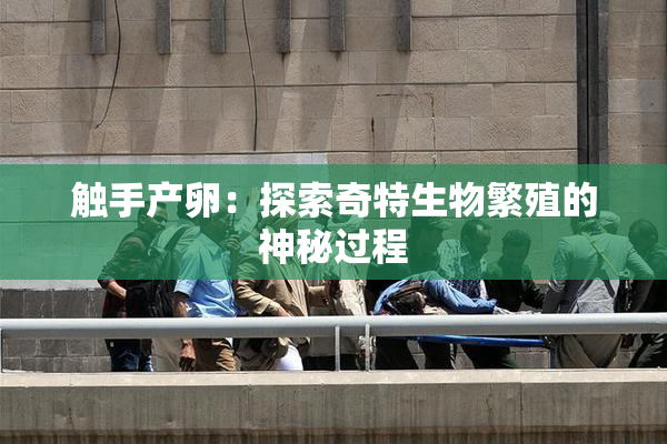 触手产卵：探索奇特生物繁殖的神秘过程