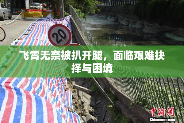 飞霄无奈被扒开腿，面临艰难抉择与困境