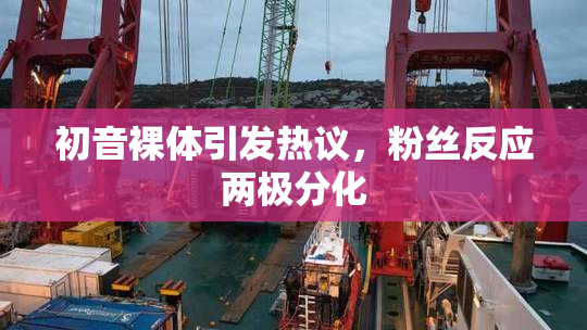 初音裸体引发热议，粉丝反应两极分化