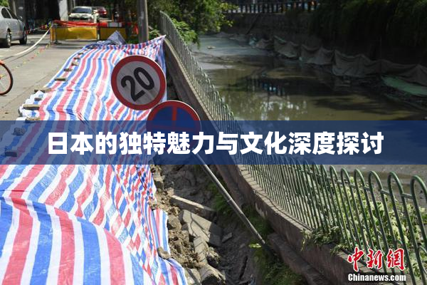 日本的独特魅力与文化深度探讨