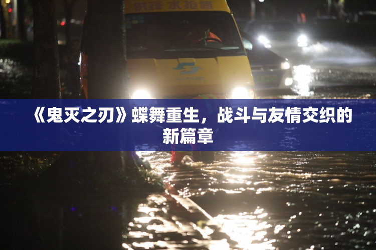 《鬼灭之刃》蝶舞重生，战斗与友情交织的新篇章