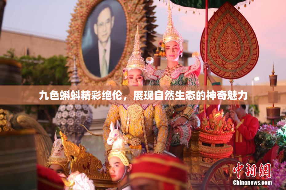 九色蝌蚪精彩绝伦，展现自然生态的神奇魅力