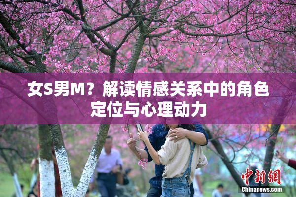 女S男M？解读情感关系中的角色定位与心理动力