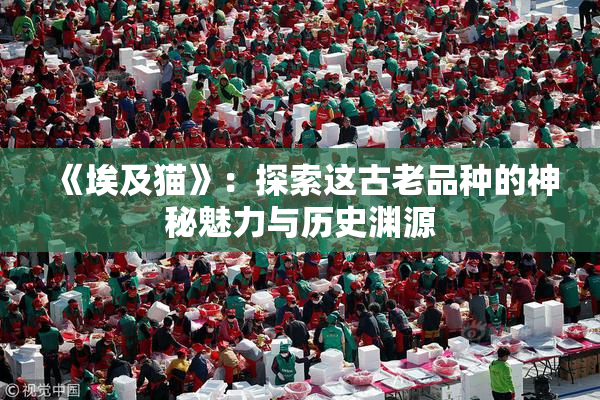 《埃及猫》：探索这古老品种的神秘魅力与历史渊源