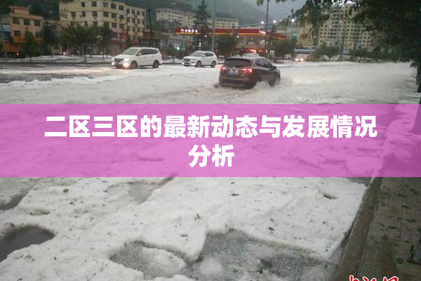 二区三区的最新动态与发展情况分析
