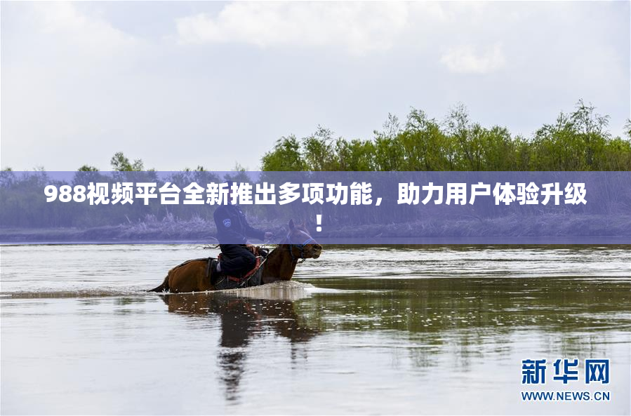 988视频平台全新推出多项功能，助力用户体验升级！