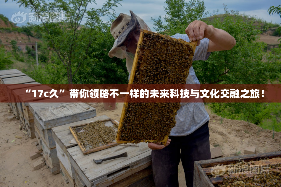 “17c久”带你领略不一样的未来科技与文化交融之旅！