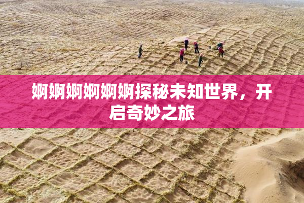 婀婀婀婀婀婀探秘未知世界，开启奇妙之旅