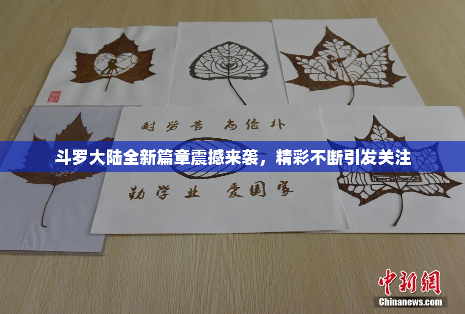 斗罗大陆全新篇章震撼来袭，精彩不断引发关注