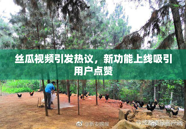 丝瓜视频引发热议，新功能上线吸引用户点赞