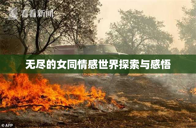 无尽的女同情感世界探索与感悟