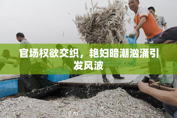 官场权欲交织，艳妇暗潮汹涌引发风波