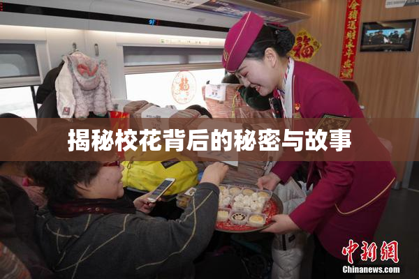揭秘校花背后的秘密与故事