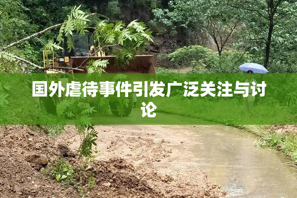 国外虐待事件引发广泛关注与讨论