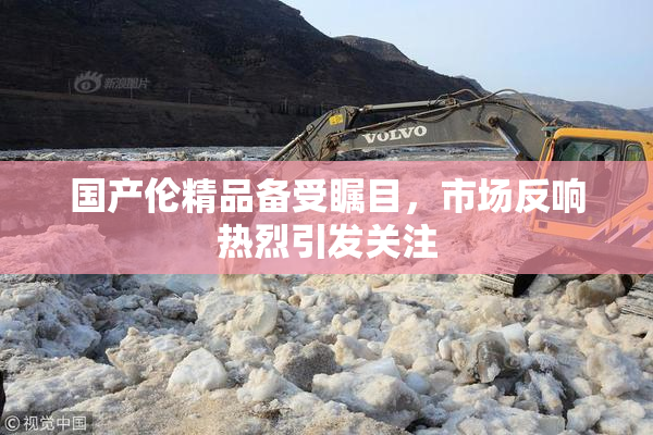 国产伦精品备受瞩目，市场反响热烈引发关注