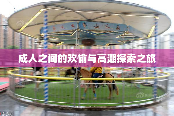 成人之间的欢愉与高潮探索之旅