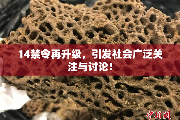 14禁令再升级，引发社会广泛关注与讨论！