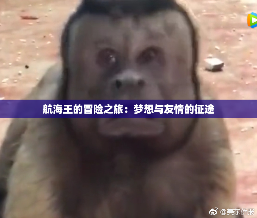 航海王的冒险之旅：梦想与友情的征途