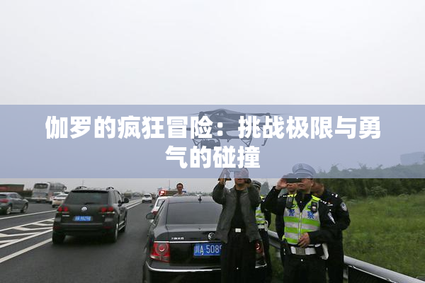 伽罗的疯狂冒险：挑战极限与勇气的碰撞
