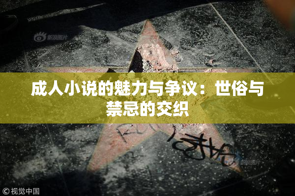 成人小说的魅力与争议：世俗与禁忌的交织