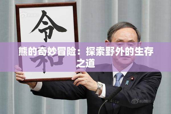 熊的奇妙冒险：探索野外的生存之道