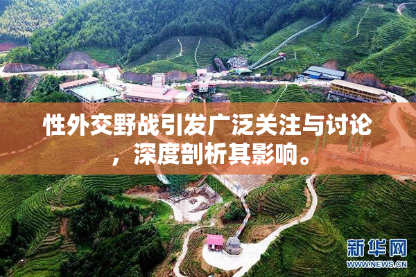 性外交野战引发广泛关注与讨论，深度剖析其影响。
