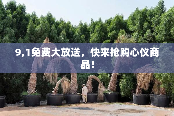 9,1免费大放送，快来抢购心仪商品！