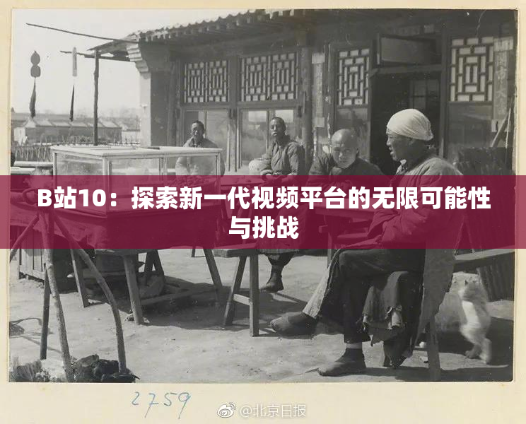 B站10：探索新一代视频平台的无限可能性与挑战
