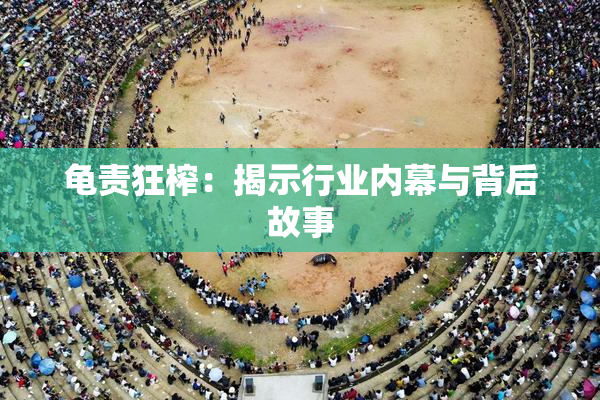 龟责狂榨：揭示行业内幕与背后故事