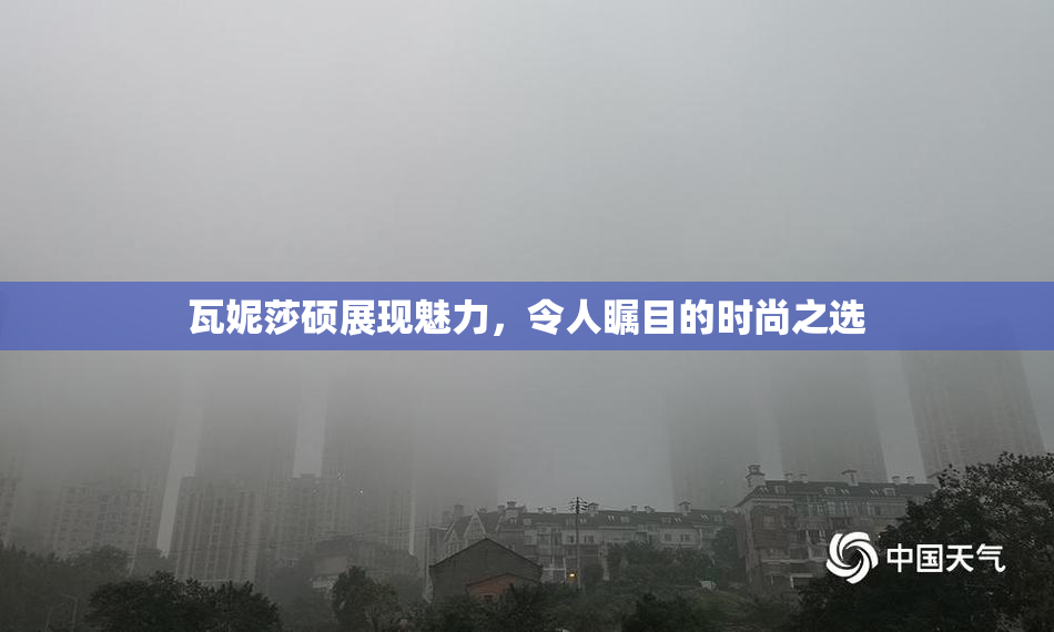 瓦妮莎硕展现魅力，令人瞩目的时尚之选