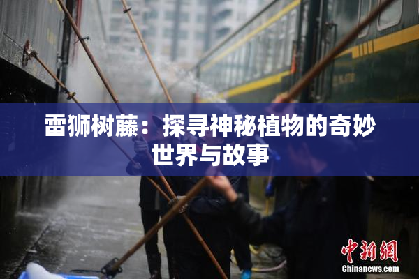 雷狮树藤：探寻神秘植物的奇妙世界与故事