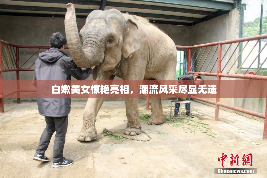 白嫩美女惊艳亮相，潮流风采尽显无遗