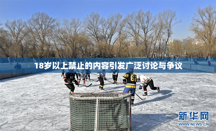 18岁以上禁止的内容引发广泛讨论与争议