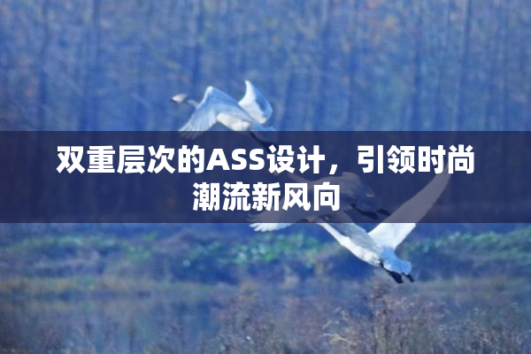 双重层次的ASS设计，引领时尚潮流新风向