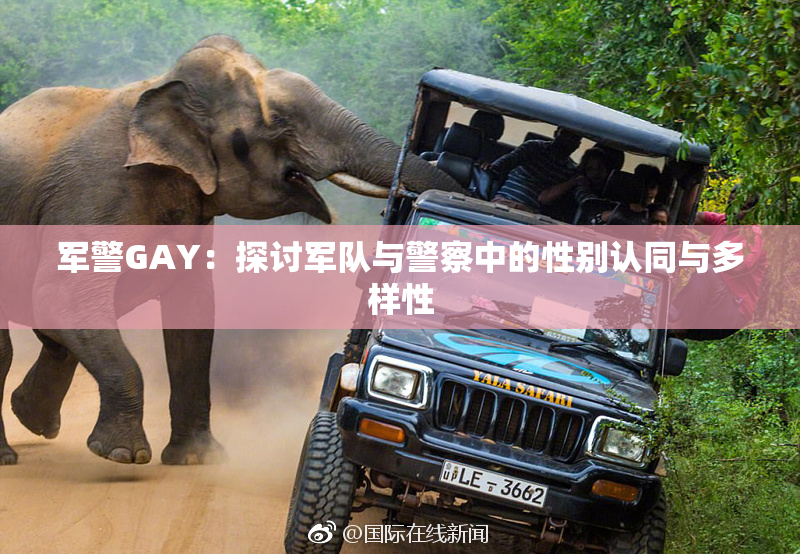 军警GAY：探讨军队与警察中的性别认同与多样性