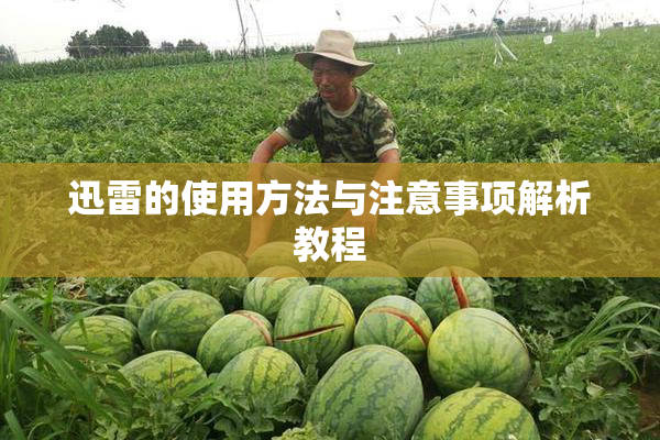 迅雷的使用方法与注意事项解析教程