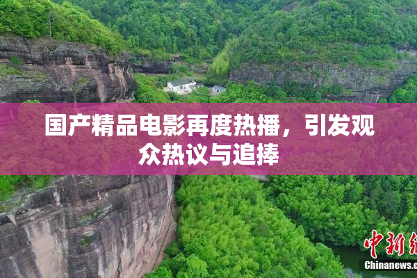 国产精品电影再度热播，引发观众热议与追捧
