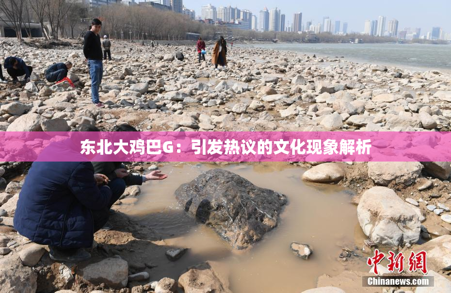 东北大鸡巴G：引发热议的文化现象解析