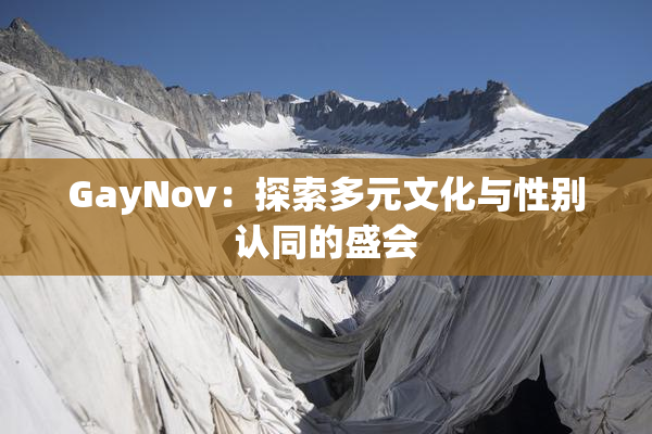 GayNov：探索多元文化与性别认同的盛会