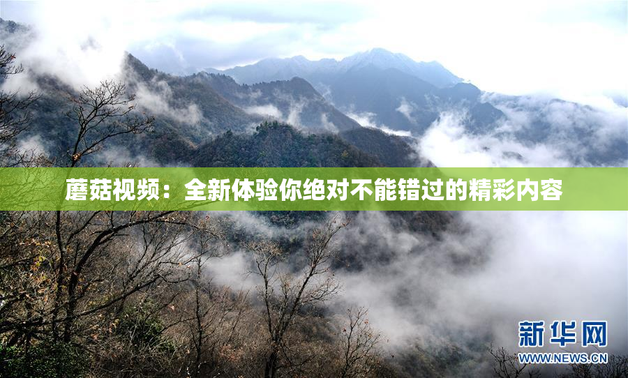 蘑菇视频：全新体验你绝对不能错过的精彩内容