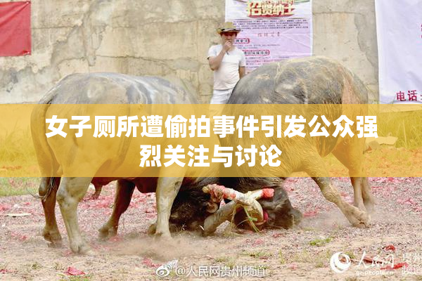 女子厕所遭偷拍事件引发公众强烈关注与讨论