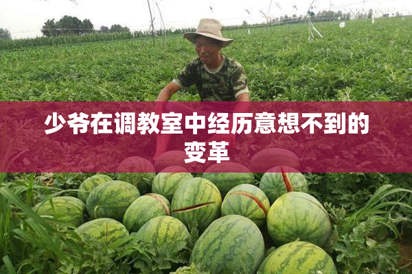 少爷在调教室中经历意想不到的变革