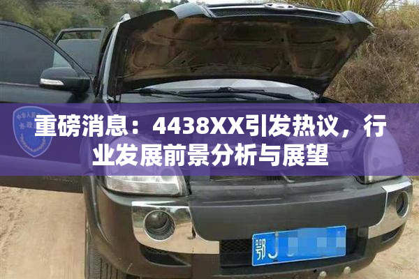 重磅消息：4438XX引发热议，行业发展前景分析与展望
