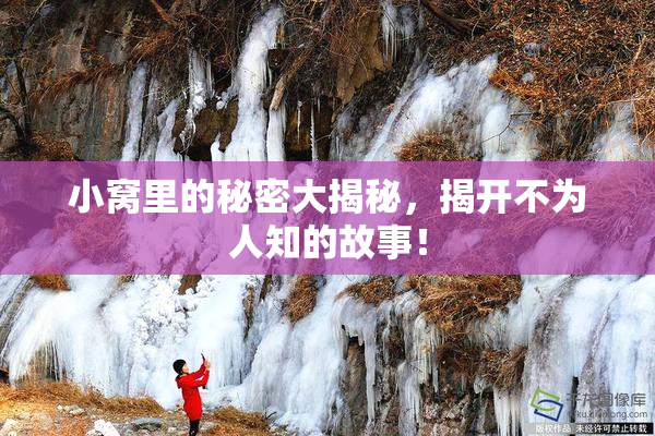 小窝里的秘密大揭秘，揭开不为人知的故事！