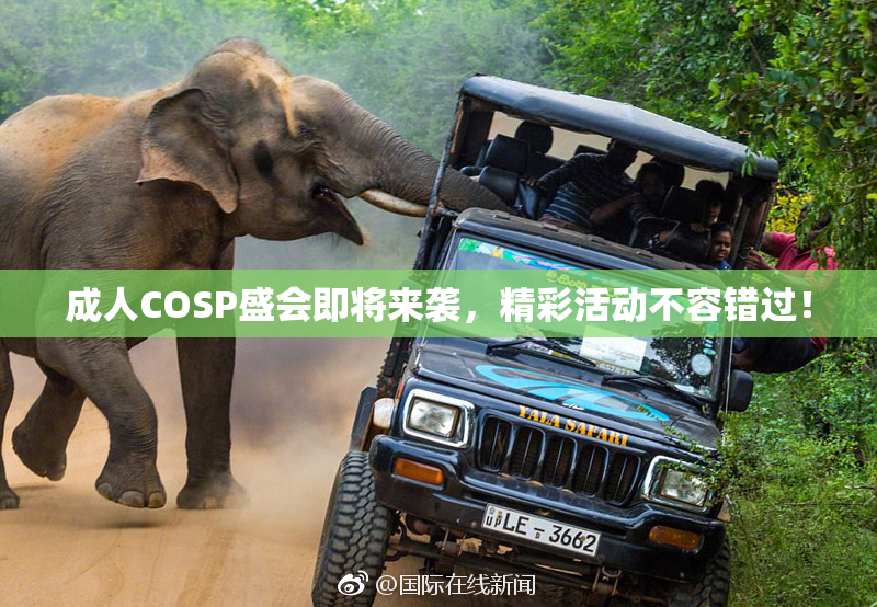 成人COSP盛会即将来袭，精彩活动不容错过！