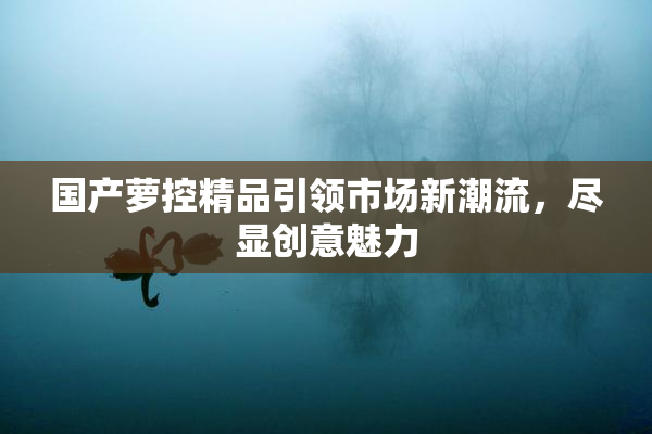 国产萝控精品引领市场新潮流，尽显创意魅力